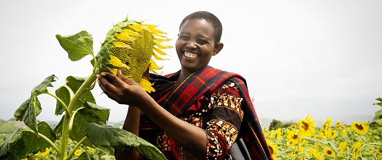 A female sunflower farmer in Tanzania.