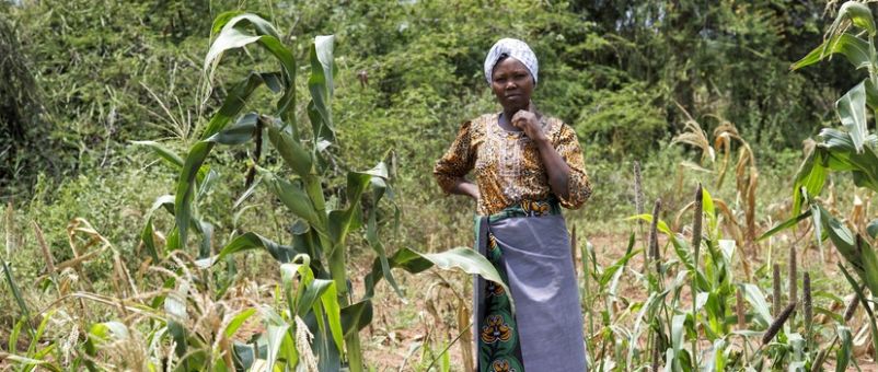 Janet's story - Farm Africa