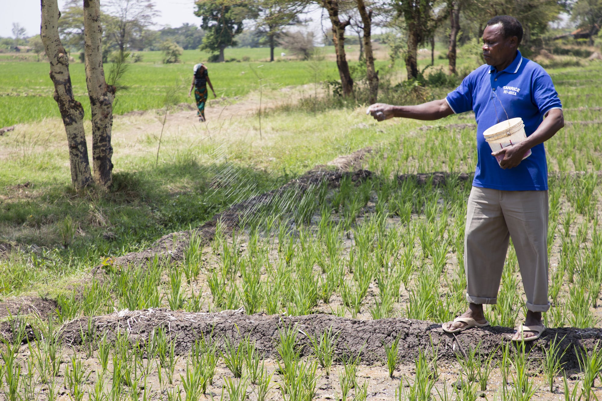 Photo: Farm Africa / Jon Spaull