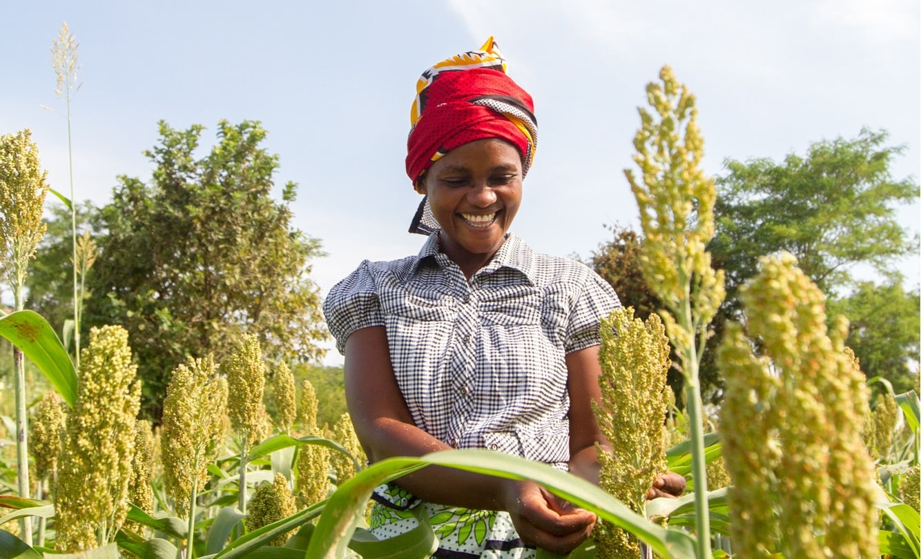 Photo: Farm Africa / Mwangi Kirubi