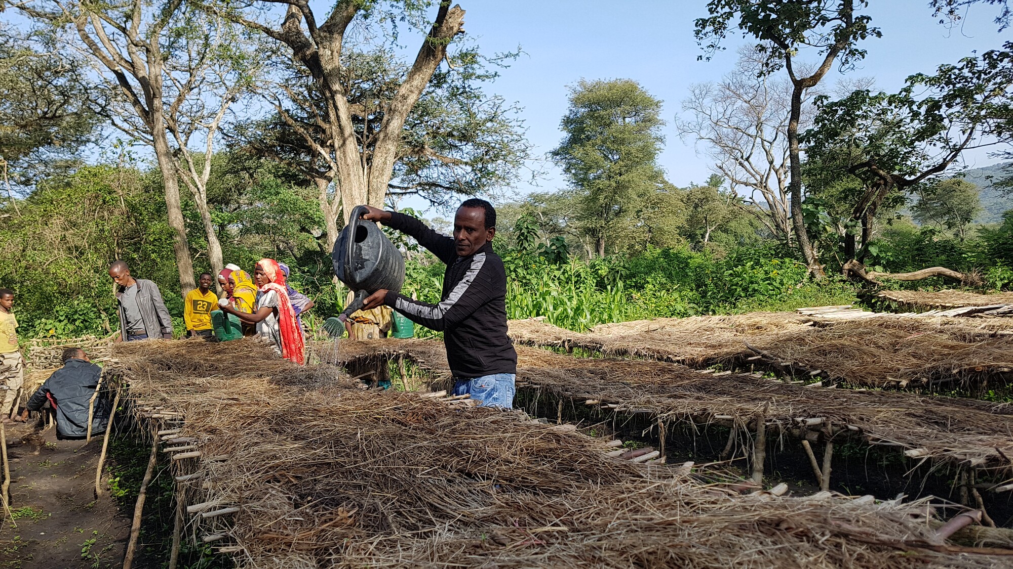 Man watering tree seedlings at a community nursery in Bale Eco-region, Ethiopia