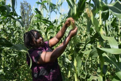 Photo: Farm Africa / Caroline Karuitha