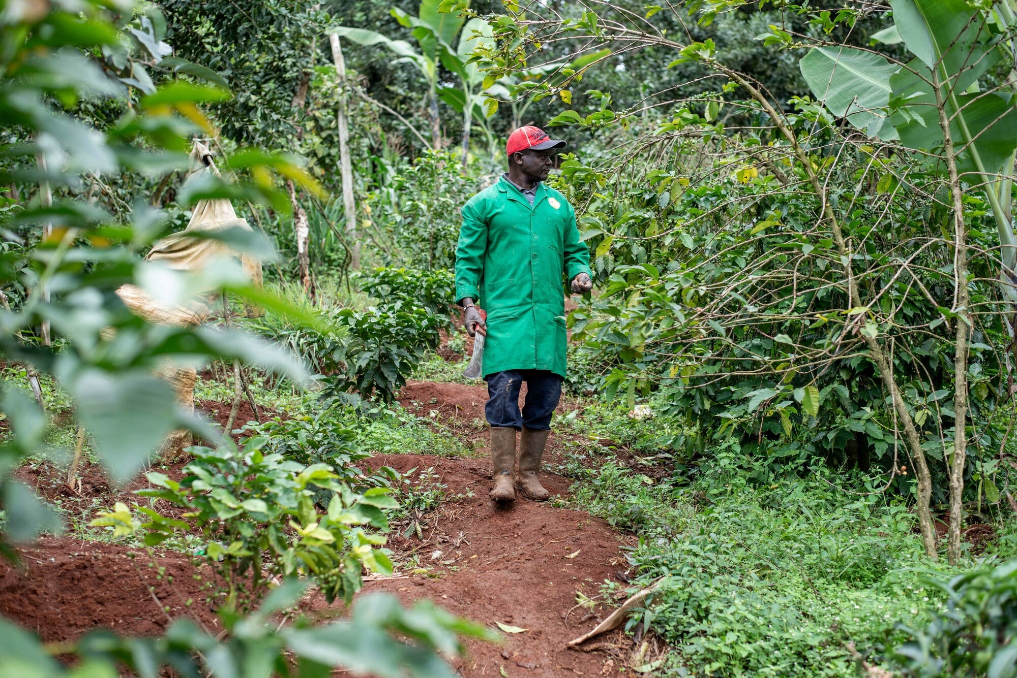 Photo: Farm Africa/Brian Ongoro