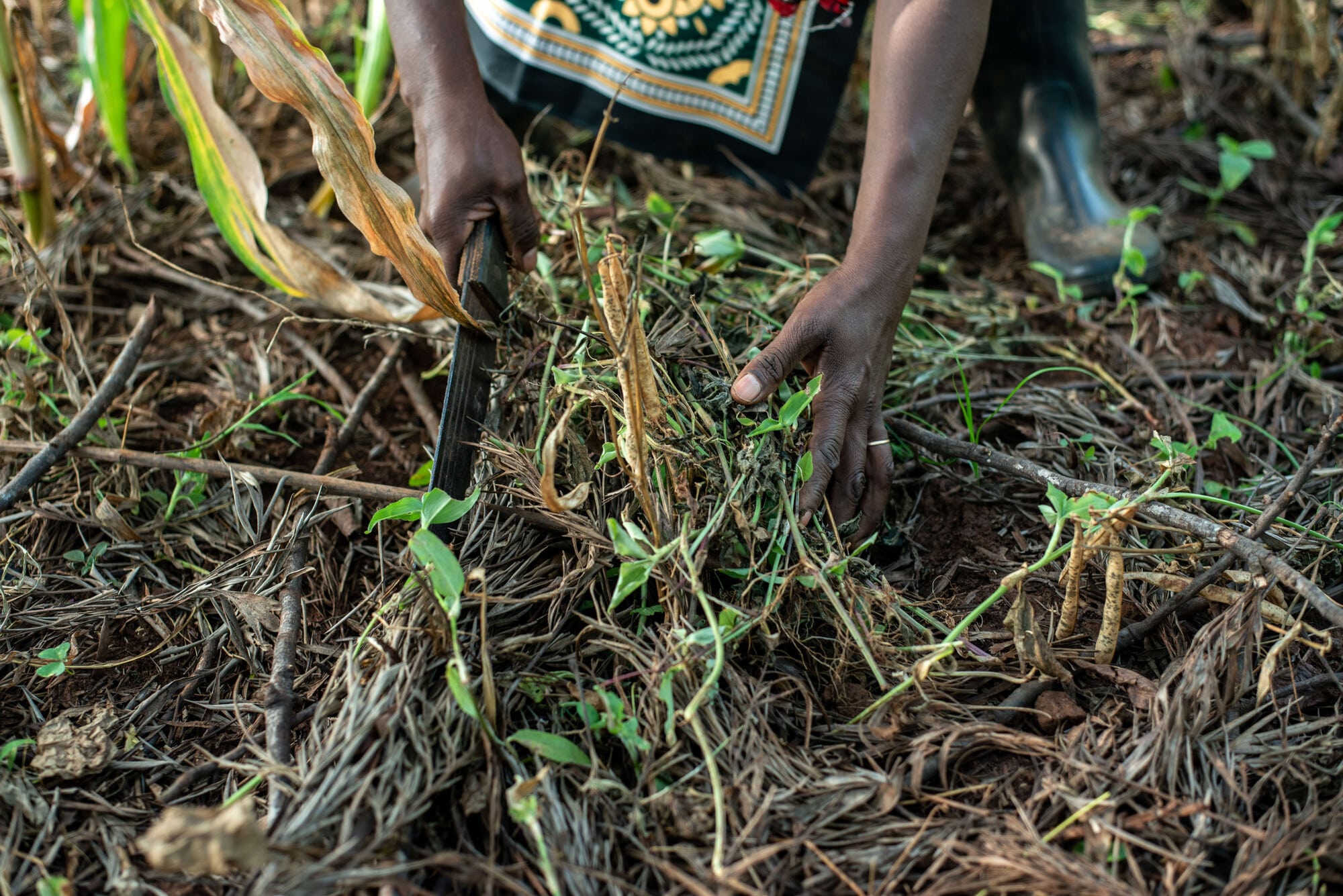 Photo: Farm Africa / Arete