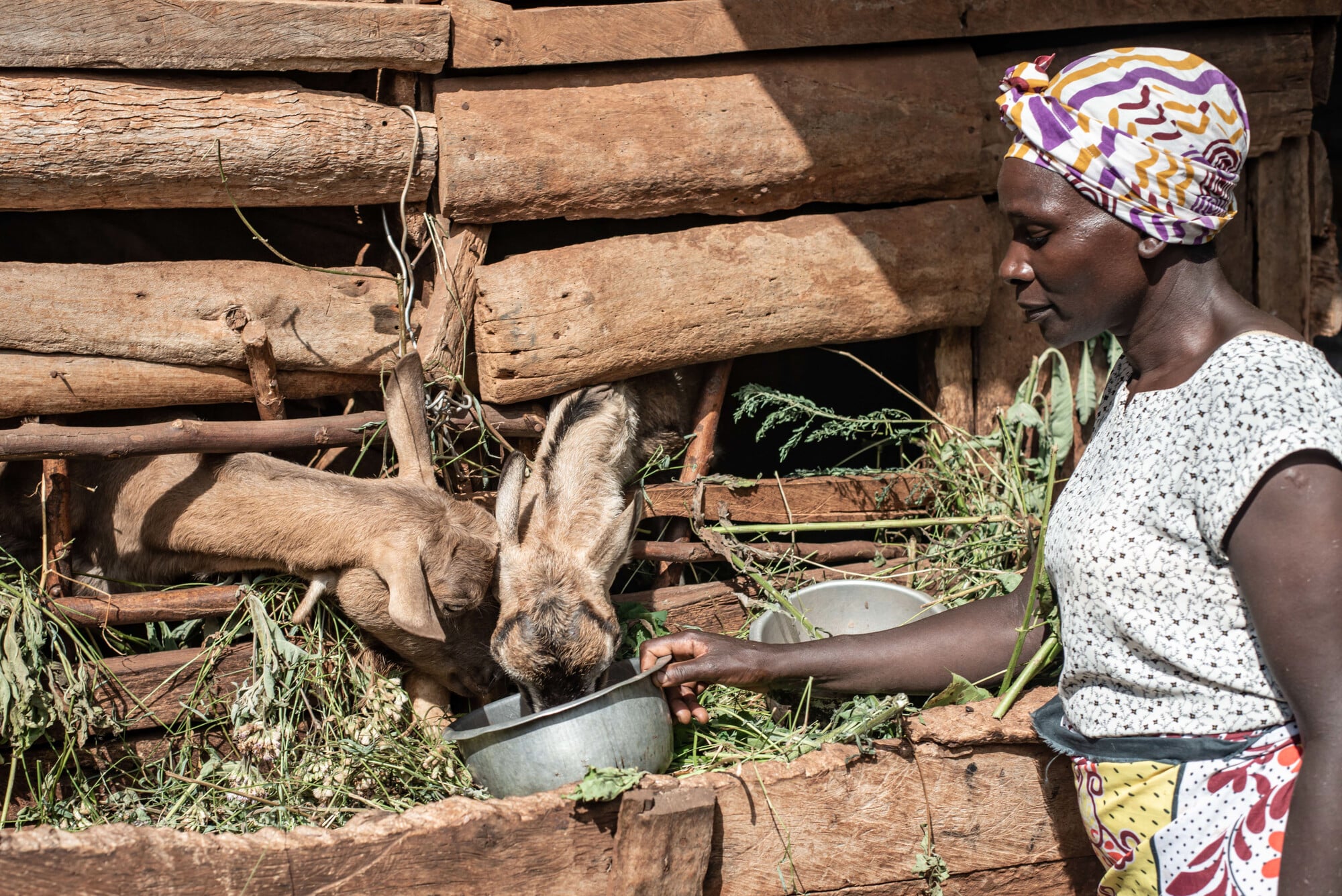 Photo: Farm Africa / Arete