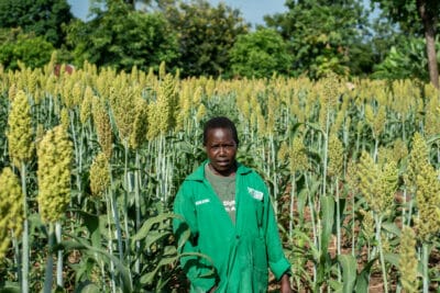 Photo: Farm Africa / Arete