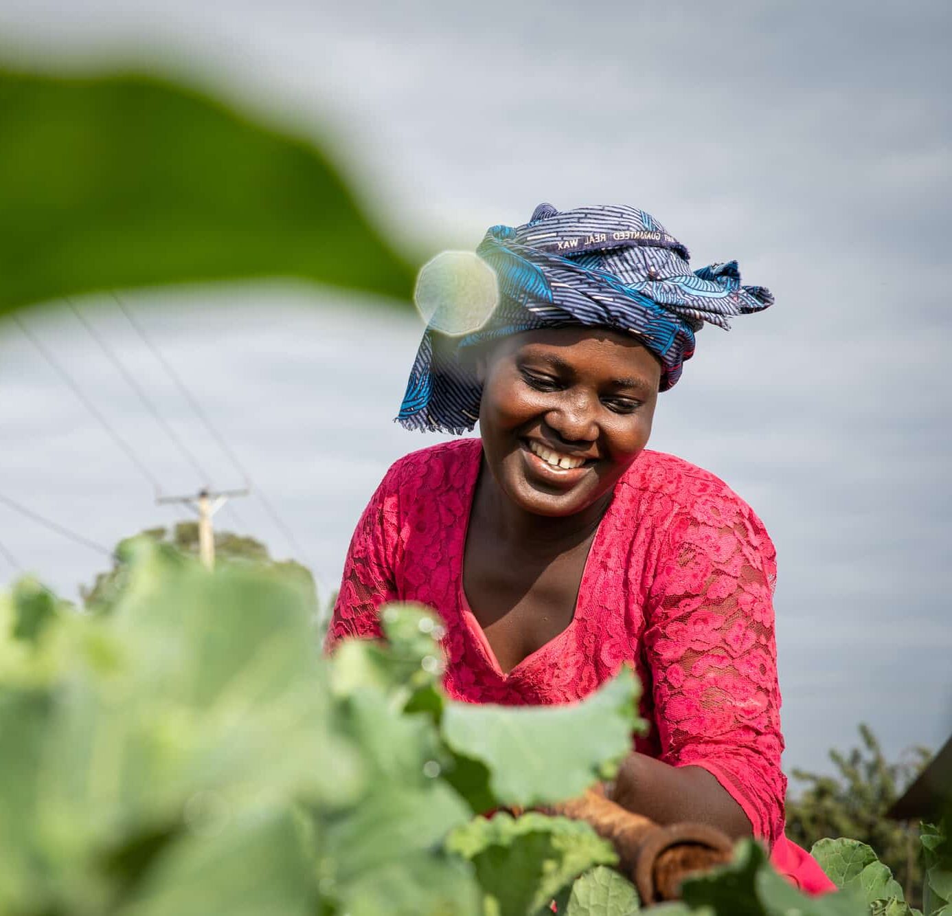 Lilian Wolayo, a beneficiary of Farm Africa’s Growing Futures project, tends to her vegatbles on her farm in Bodeni, Saboti County in Western Kenya. Taken on May 13th 2022. Photo: Lisa Murrary.