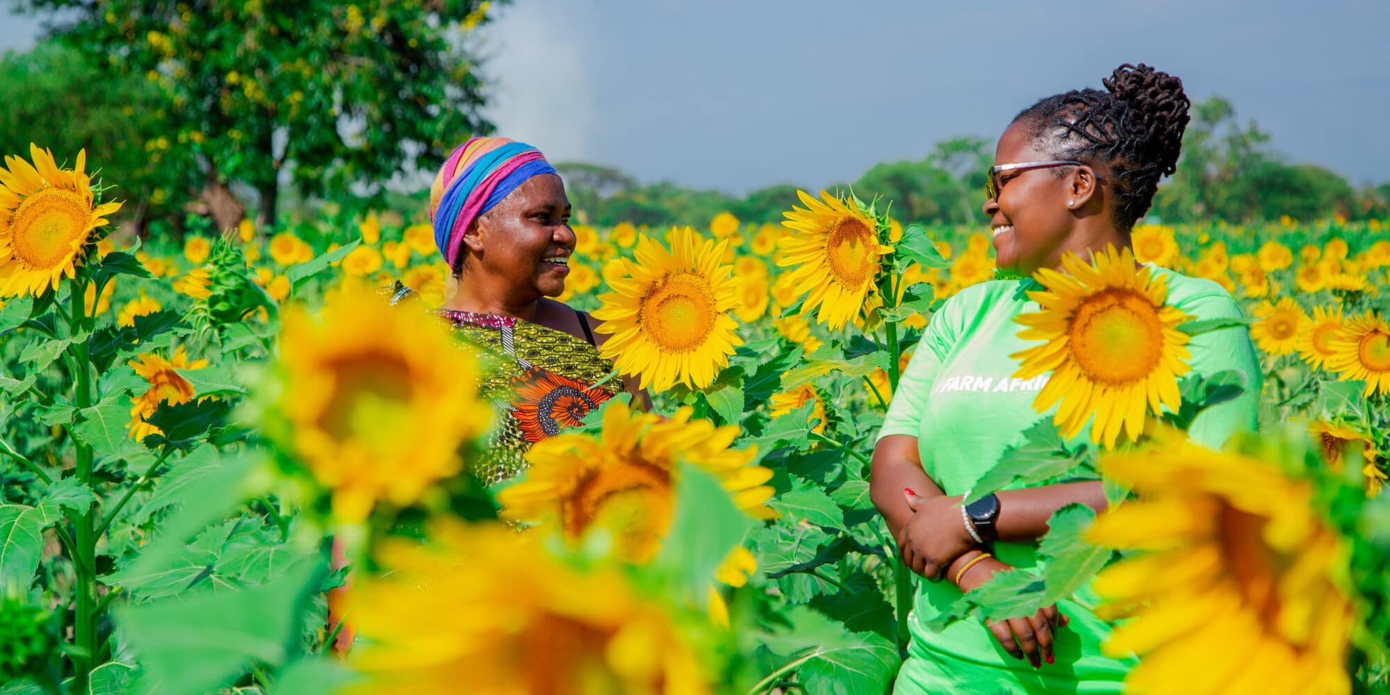 A sunflower farmer from Babati District in Tanzania, who is taking part in Farm Africa's sunflower project, pictured with Farm Africa gender specialist Helena Lawi (right). Photo: Side_ent.