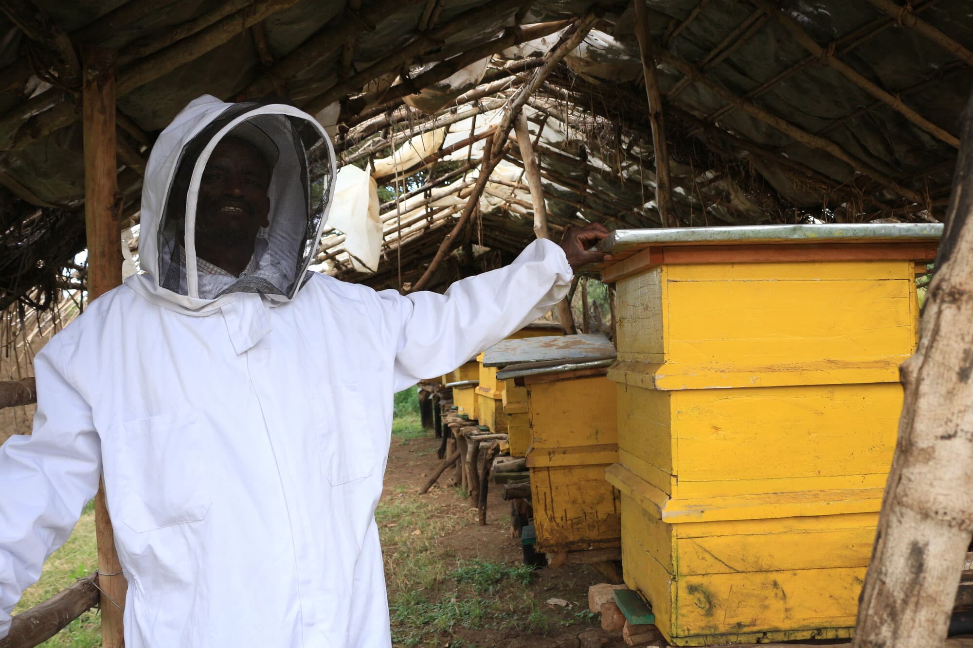 beekeeper with hive