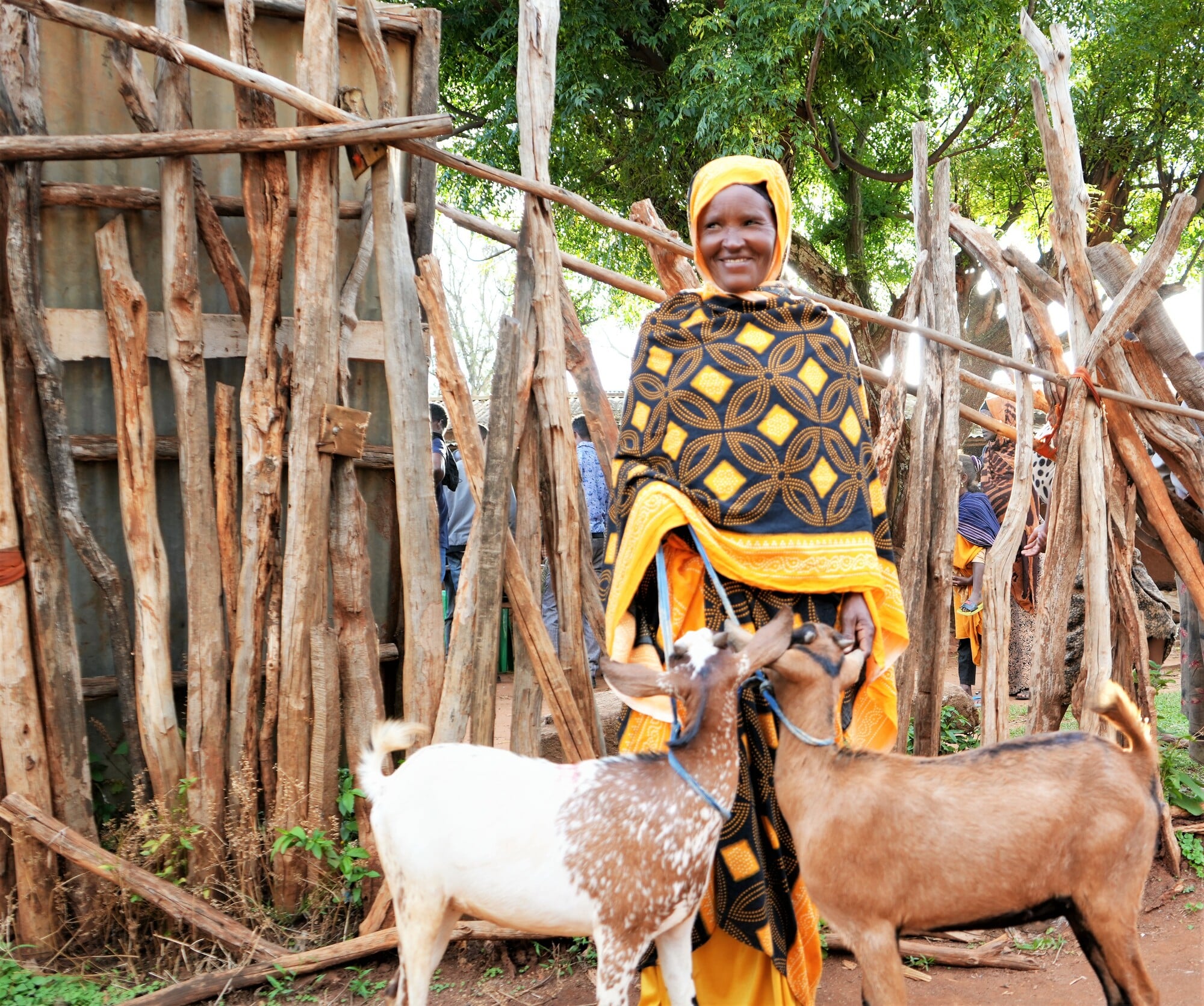 A woman with two goats in the Bale Eco-region of Ethiopia.