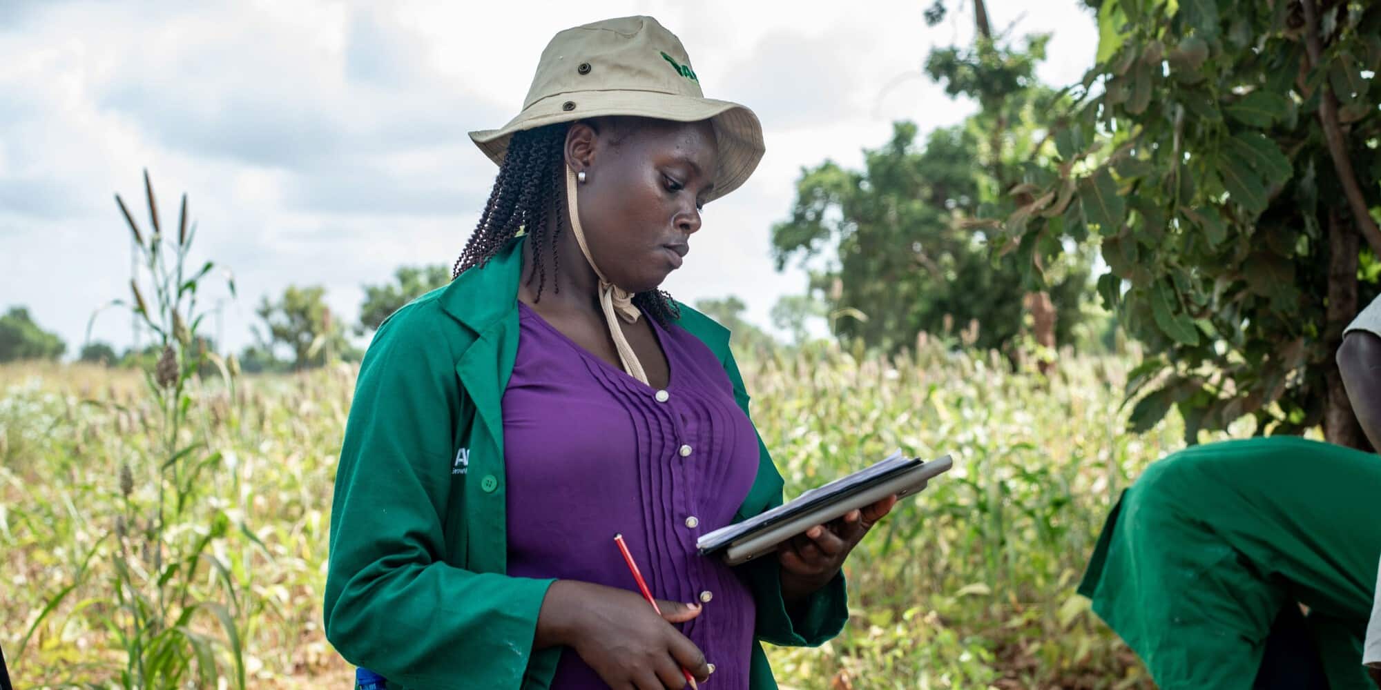 Mary Kimani, a Farm Africa staff member, collects data on yields during a harvest at a farm in Tharaka Nithi, Kenya.