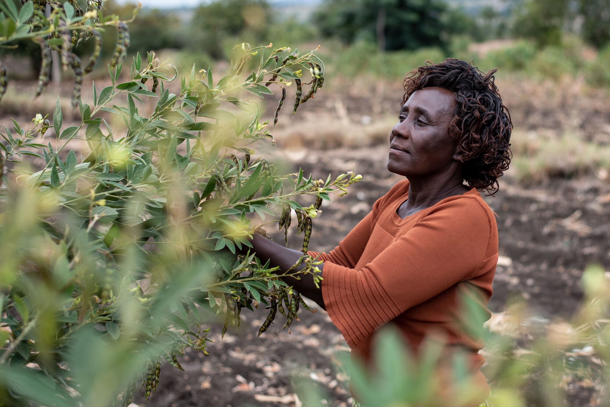 Photo: Farm Africa/Brian Ongoro