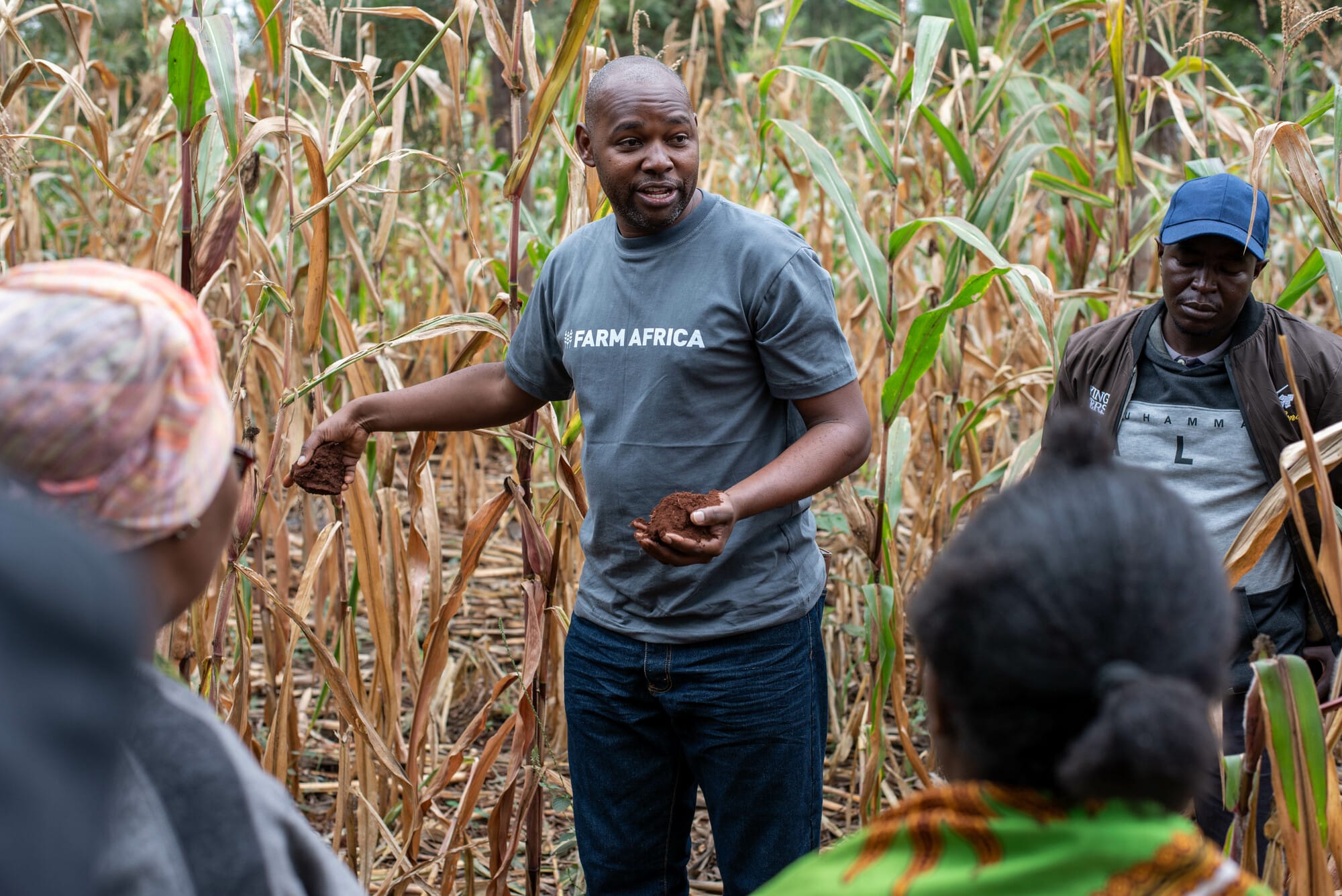 Photo credit: Farm Africa/Brian Ongoro