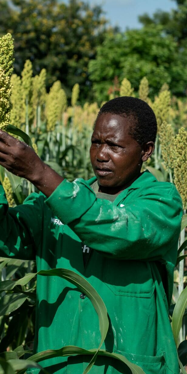 Lucia, a village-based adviser taking part in Farm Africa's regenerative agriculture at her sorghum farm in Tharaka Nithi, Kenya.