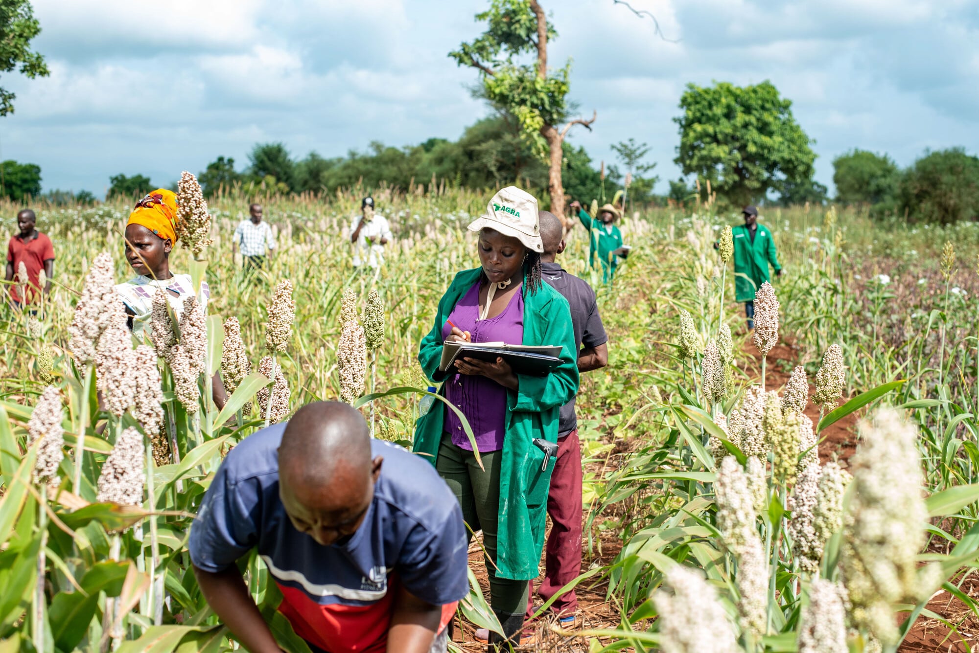 Photo credits: Farm Africa / Arete