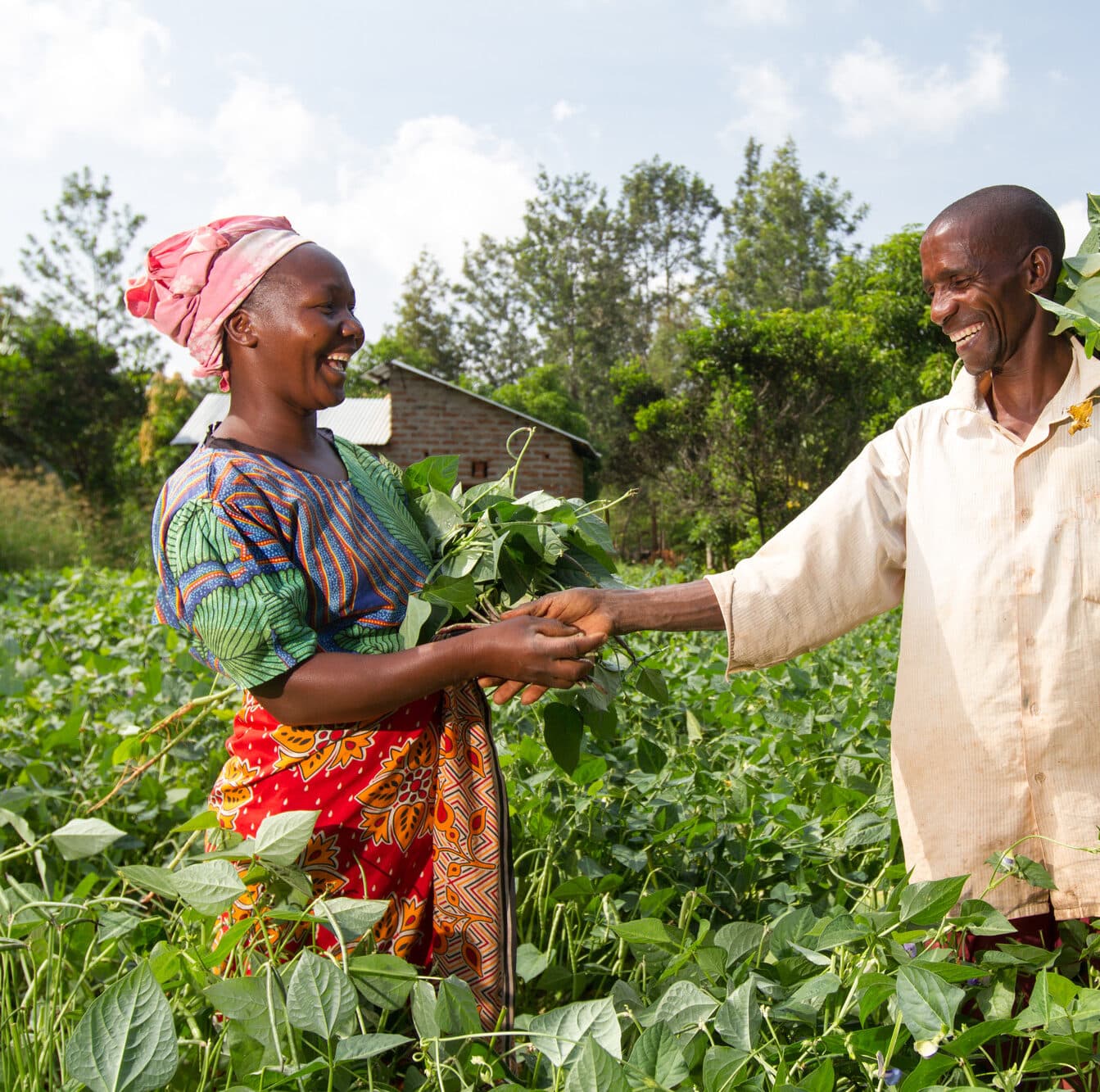 Photo: Farm Africa / Mwangi Kirubi