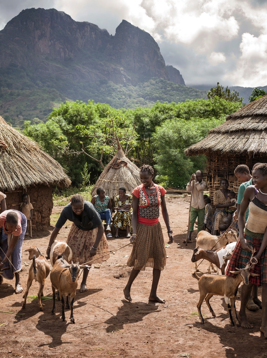 Photo: Chris de Bode/Panos Pictures for Farm Africa