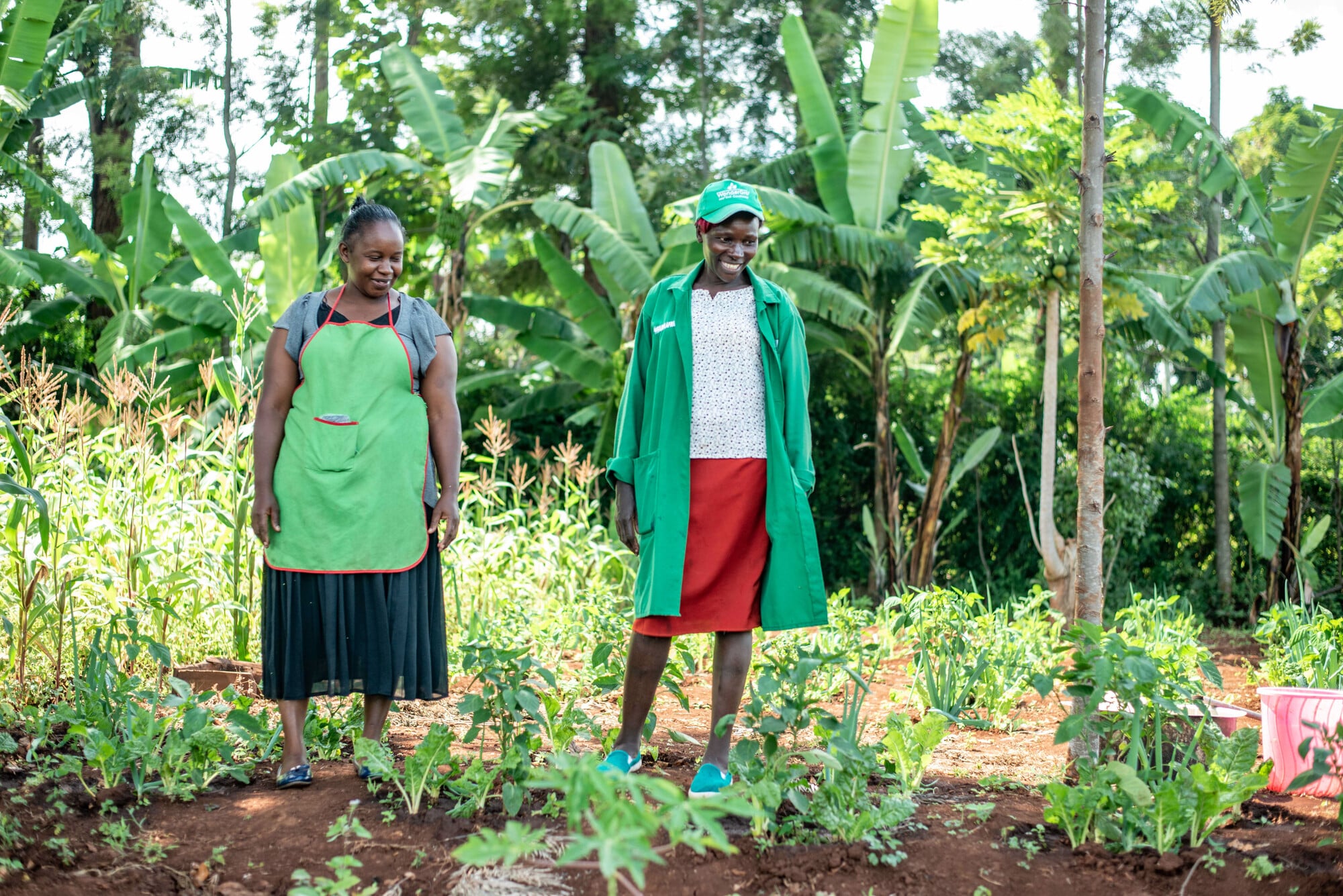 Photo: Farm Africa / Arete