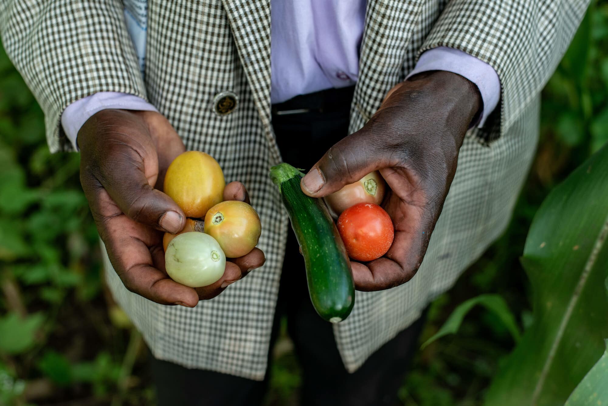 Photo: Farm Africa / Arete