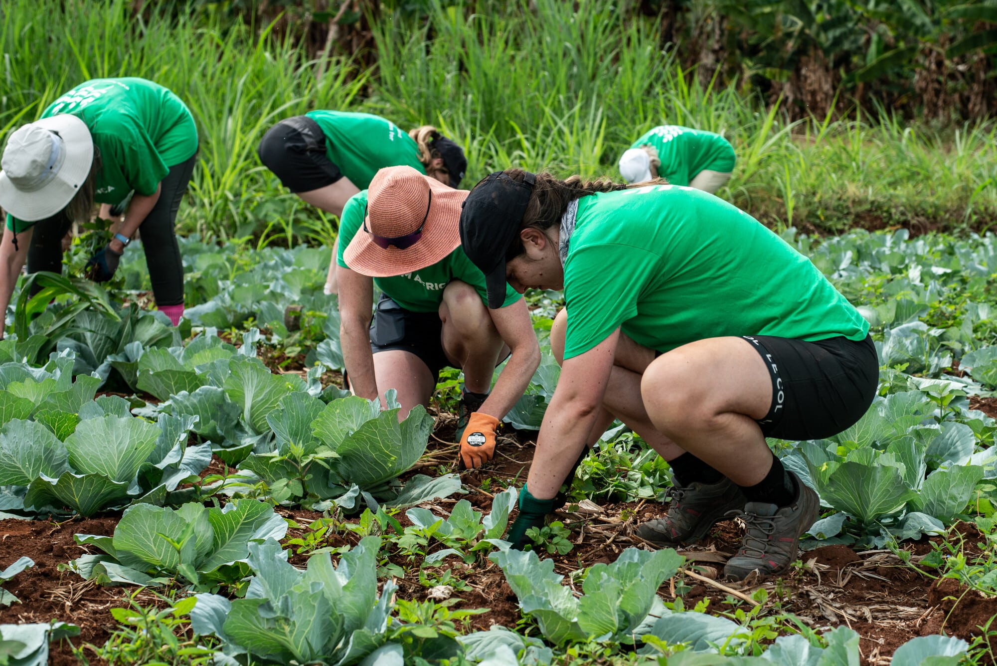 The GROW for Good challenge team working on a regenerative agriculture farm in Kenya.