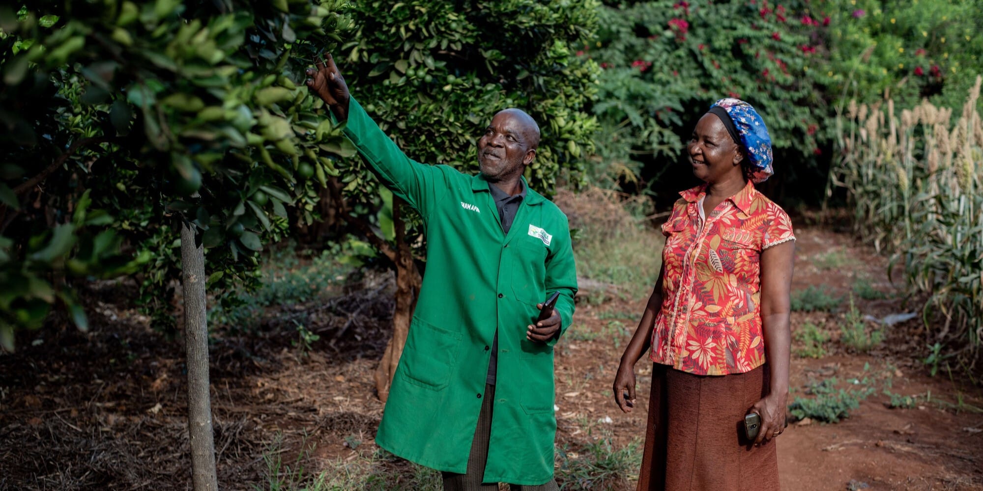 Two farmers in Kenya looking at trees on their farm.