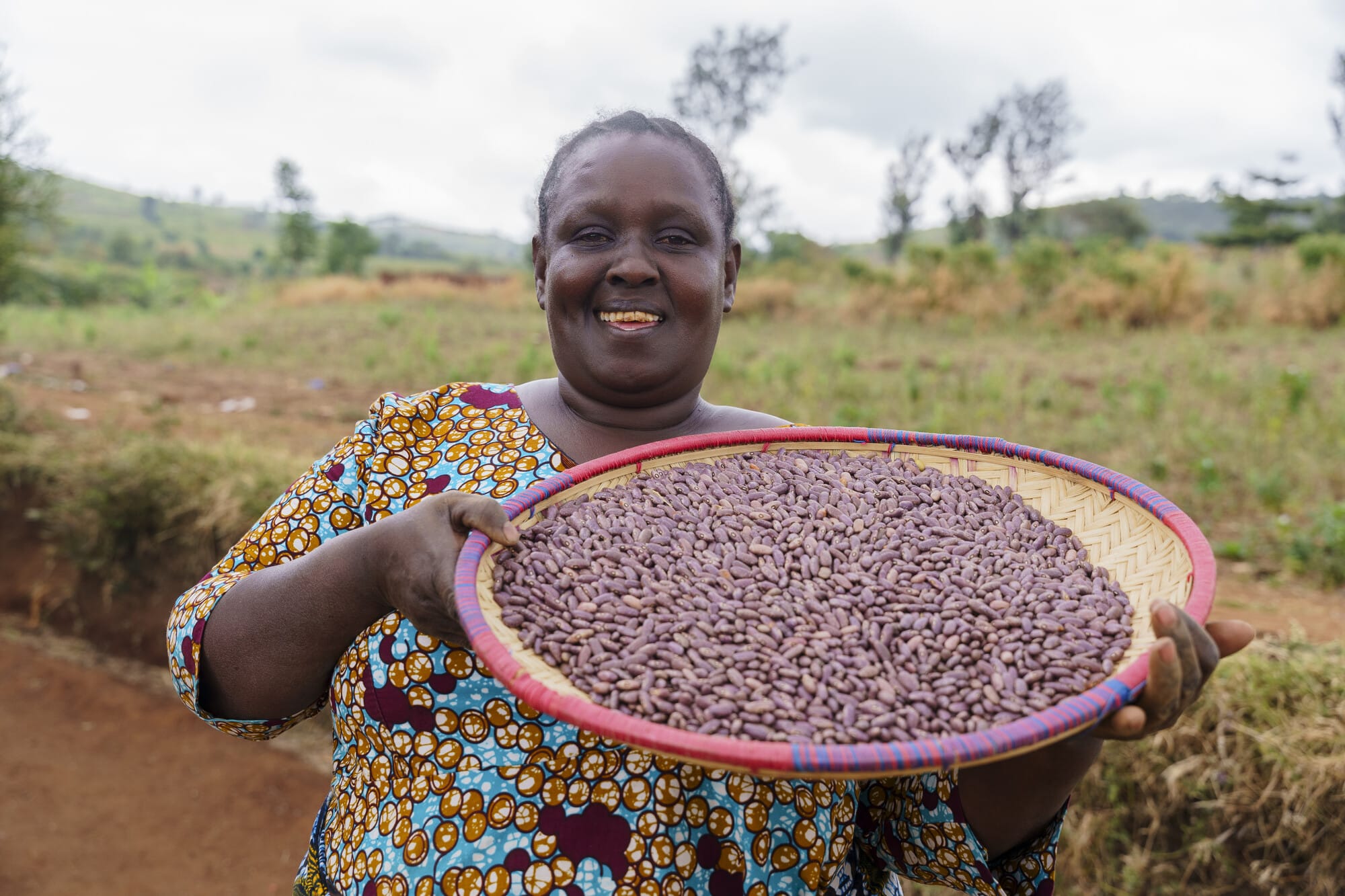 Beans harvested by Adelaida Joakim. Photo: Michael Goima