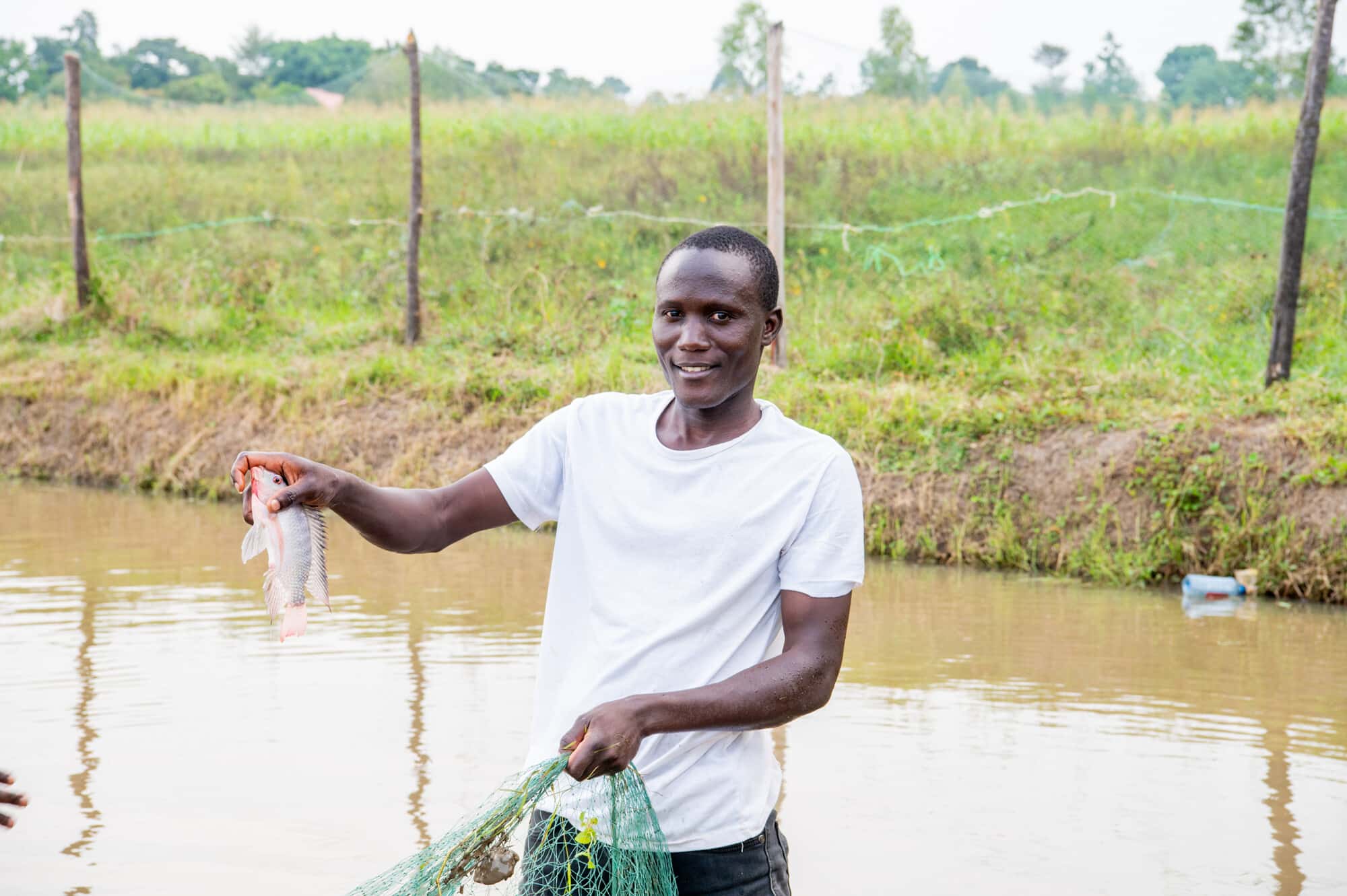 A young farmer harvesting fish from a fishpond in Kenya.