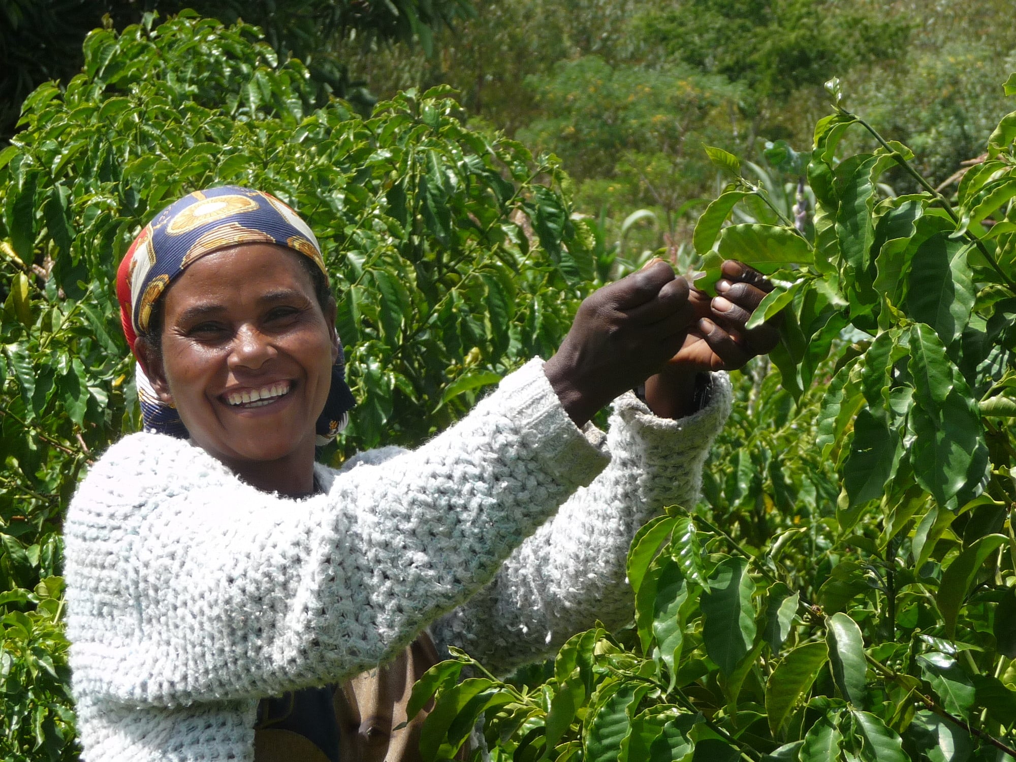 Adnakeche, chairwoman of a women's group supported by Farm Africa in 2009.